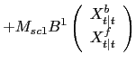 $\displaystyle + M_{sc1} B^{1} \left( \begin{array}[c]{c} X^{b}_{t\vert t}\\ X^{f}_{t\vert t} \end{array} \right)$
