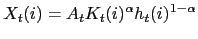 $\displaystyle X_{t}(i)=A_{t}K_{t}(i)^{\alpha}h_{t}(i)^{1-\alpha}$