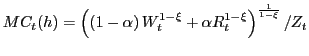 $\displaystyle MC_{t}(h)=\left( \left( 1-\alpha\right) W_{t}^{1-\xi}+\alpha R_{t}^{1-\xi }\right) ^{\frac{1}{1-\xi}}/Z_{t}$