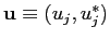 $ \mathbf{u}\equiv(u_{j},u_{j}^{\ast})$