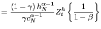 $\displaystyle =\frac{\left( 1-\gamma\right) h_{N}^{\alpha-1}}{\gamma c_{N}^{\alpha-1}}Z_{t}^{h}\left\{ \frac{1}{1-\beta}\right\}$