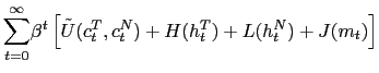 $\displaystyle \overset{\infty}{\sum_{t=0}}\beta^{t}\left[ \tilde{U}(c_{t}^{T},c_{t} ^{N})+H(h_{t}^{T})+L(h_{t}^{N})+J(m_{t})\right] $