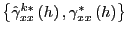$ \left\{ \hat{\gamma }_{xx}^{k\ast}\left( h\right) ,\gamma_{xx}^{\ast}\left( h\right) \right\} $
