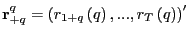 $ \mathbf{r}_{+q}^{q}=\left( r_{1+q}\left( q\right) ,...,r_{T}\left( q\right) \right) ^{\prime}$