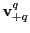 $ \mathbf{v}_{+q}^{q}$
