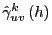 $ \hat{\gamma} _{uv}^{k}\left( h\right) $