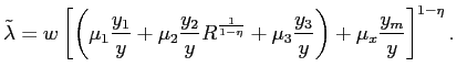 $\displaystyle \tilde{\lambda}=w\left[ \left( \mu_{1}\frac{y_{1}}{y}+\mu_{2}\fra... ...eta}}+\mu_{3}\frac{y_{3}}{y}\right) +\mu_{x}\frac{y_{m}} {y}\right] ^{1-\eta}. $