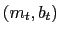 $ (m_{t},b_{t})$
