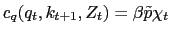 $ c_{q}(q_{t},k_{t+1},Z_{t})=\beta\tilde{p} \chi_{t}$
