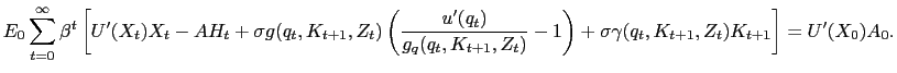 $\displaystyle {\small E_{0} \sum_{t=0}^{\infty} \beta^{t} \left[ U^{\prime}(X_{t}) X_{t} - A H_{t} + \sigma g(q_{t}, K_{t+1},Z_{t}) \left( \frac{u^{\prime}(q_{t})}{g_{q}(q_{t}, K_{t+1},Z_{t})} - 1\right) + \sigma\gamma(q_{t}, K_{t+1},Z_{t}) K_{t+1} \right] = U^{\prime}(X_{0}) A_{0}.}$