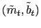 $ (\tilde{m}_{t}, \tilde{b}_{t})$