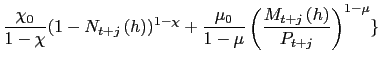 $\displaystyle \frac{\chi_{0}}{1-\chi}(1-N_{t+j}\left( h\right) )^{1-\chi}+\frac{\mu _{0}}{1-\mu}\left( \frac{M_{t+j}\left( h\right) }{P_{t+j}}\right) ^{1-\mu }\}$