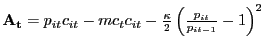 $ \mathbf{A_{t}} = p_{it} c_{it} - mc_{t} c_{it} - \frac{\kappa}{2}\left( \frac{p_{it}}{p_{it-1}}-1\right) ^{2}$