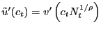 $ \tilde{u}^{\prime}(c_{t}) = v^{\prime}\left( c_{t} N_{t}^{1/\rho}\right) $