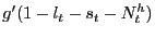 $ g^{\prime}(1-l_{t}-s_{t}-N^{h}_{t})$