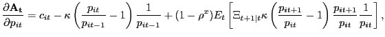 $\displaystyle \frac{\partial\mathbf{A_{t}}}{\partial p_{it}} = c_{it} - \kappa\left( \frac{p_{it}}{p_{it-1}} - 1\right) \frac{1}{p_{it-1}} + (1-\rho^{x}) E_{t} \left[ \Xi_{t+1\vert t} \kappa\left( \frac{p_{it+1}}{p_{it}} - 1\right) \frac{p_{it+1}}{p_{it}} \frac{1}{p_{it}} \right] ,$