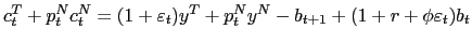 $\displaystyle c_{t}^{T}+p_{t}^{N}c_{t}^{N}=(1+\varepsilon_{t})y^{T}+p_{t}^{N} y^{N}-b_{t+1}+(1+r+\phi\varepsilon_{t})b_{t}$