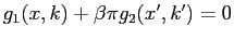 $ g_{1}(x,k)+\beta\pi g_{2}(x^{\prime},k^{\prime})=0$