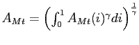 $ A_{Mt}=\left( \int_{0}^{1}A_{Mt}(i)^{\gamma}di\right) ^{\frac{1}{\gamma}}$