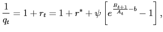 $\displaystyle \frac{1}{q_t}=1+r_t=1+r^*+\psi\left[e^{\frac{B_{t+1}}{A_t}-b}-1\right],$