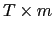 $ T\times m$