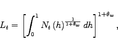 \begin{displaymath} L_{t}=\left[ \int_{0}^{1}N_{t}\left( h\right)^{\frac{ 1}{1+\theta _{w}}}dh\right] ^{1+\theta_{w}}, \end{displaymath}