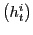 $ \left( h_{t}^{i}\right) $
