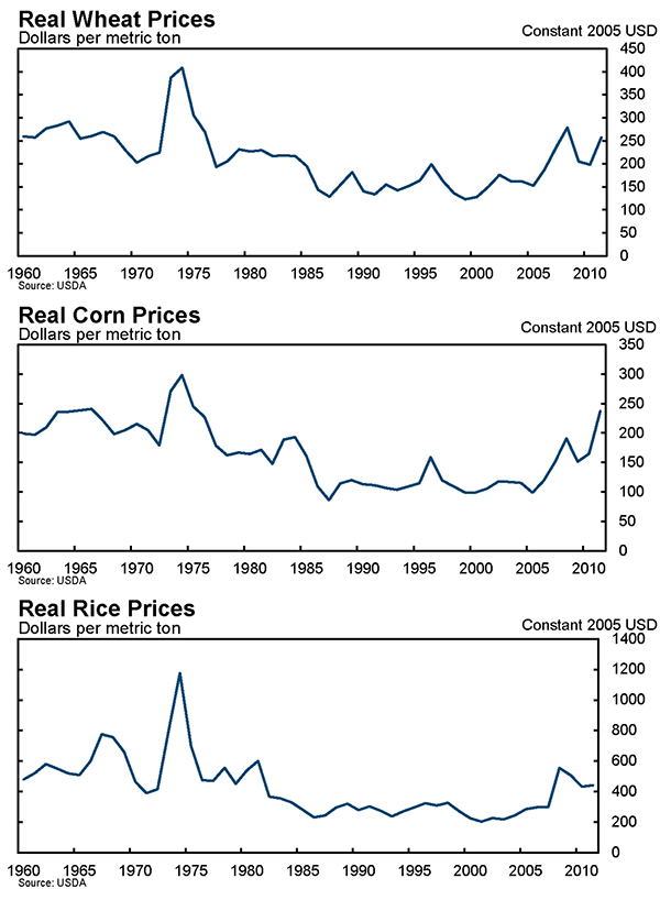 Figure 7: The figure shows the real prices of wheat (top panel), corn (middle panel), and rice (bottom panel) from 1960 to 2010.  The real price of each commodity rose significantly in the mid-1970s as well as more recently in the 2005 – 2010 period.  It is this later period that motivates our policy experiments.