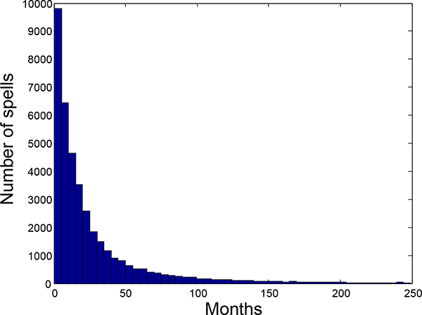 Figure 1: This figure describes the unweighted tenure distribution in our NSLY79 sample. The y-axis is the number of job spells, ranging from zero to 10,000, and the x-axis is months, ranging from 0 to 250 months. The number of spells at each duration declines monotonically from nearly 10,000 spells in the 1-5 month range, to below 2,000 spells in the 25-30 month range, with continued reductions thereafter.