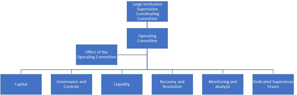 The flowchart shows the Large Institution Supervision Coordinating Committee (LISCC) supervisory program structure. The LISCC supervisory program structure is headed by the LISCC.  The Operating Committee (OC) executes the LISCC supervisory program, and is supported by the Office of the OC.  The Dedicated Supervisory Teams (DSTs), and five portfolio programs, which include (1) the Capital Program, (2) the Liquidity Program, (3) the Governance and Controls (G&C) Program, (4) the Recovery and Resolution Preparedness (RRP) Program, and (5) the Monitoring and Analysis Program (MAP), have specific responsibilities and report to the OC and ultimately the LISCC.
